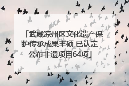 武威凉州区文化遗产保护传承成果丰硕 已认定公布非遗项目64项
