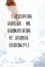 武昌区杨园街道：桃园飘香采摘忙 消费扶贫促振兴