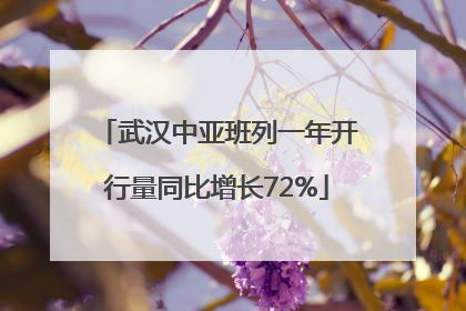 武汉中亚班列一年开行量同比增长72%