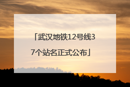 武汉地铁12号线37个站名正式公布