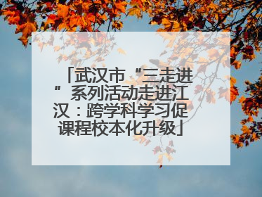 武汉市“三走进”系列活动走进江汉：跨学科学习促课程校本化升级