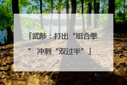 武陟：打出“组合拳” 冲刺“双过半”