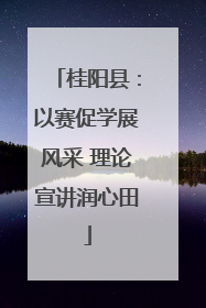 桂阳县：以赛促学展风采 理论宣讲润心田