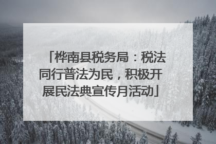 桦南县税务局：税法同行普法为民，积极开展民法典宣传月活动