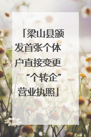 梁山县颁发首张个体户直接变更“个转企”营业执照