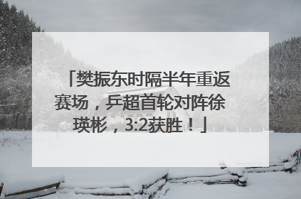 樊振东时隔半年重返赛场，乒超首轮对阵徐瑛彬，3:2获胜！