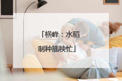 横峰：水稻制种插秧忙