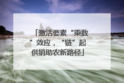 激活要素“乘数”效应，“链”起供销助农新路径
