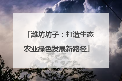 潍坊坊子：打造生态农业绿色发展新路径