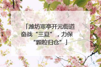 潍坊寒亭开元街道奋战“三夏”，力保“颗粒归仓”