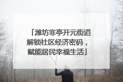 潍坊寒亭开元街道解锁社区经济密码，赋能居民幸福生活