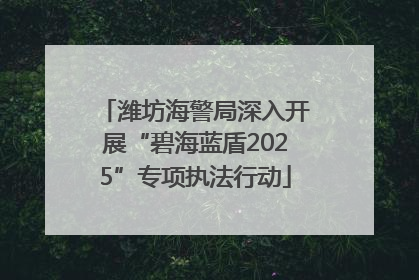 潍坊海警局深入开展“碧海蓝盾2025”专项执法行动