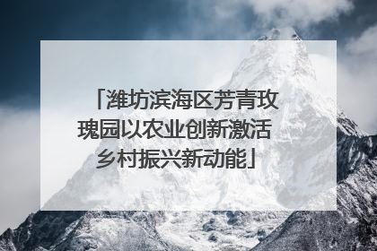 潍坊滨海区芳青玫瑰园以农业创新激活乡村振兴新动能