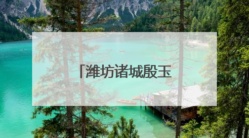 潍坊诸城殷玉宝：种粮“蹚”出新路子