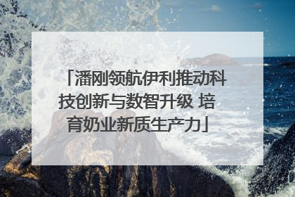 潘刚领航伊利推动科技创新与数智升级 培育奶业新质生产力