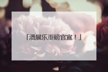 潘展乐重磅官宣！