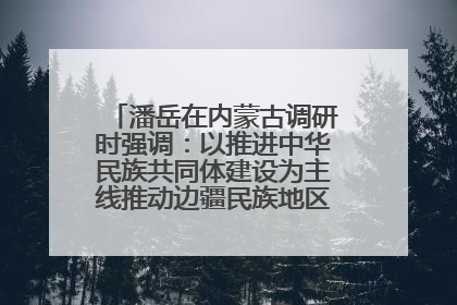 潘岳在内蒙古调研时强调：以推进中华民族共同体建设为主线推动边疆民族地区高质量发展