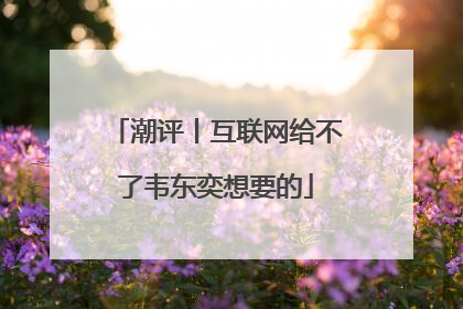 潮评丨互联网给不了韦东奕想要的