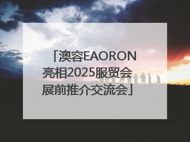 澳容EAORON亮相2025服贸会展前推介交流会
