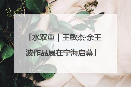 水双重｜王敏杰·余王波作品展在宁海启幕
