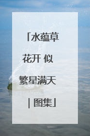 水蕴草花开 似繁星满天｜图集