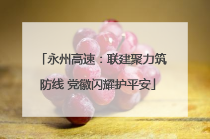 永州高速：联建聚力筑防线 党徽闪耀护平安
