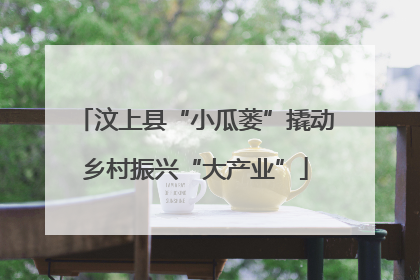 汶上县“小瓜蒌”撬动乡村振兴“大产业”