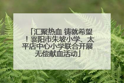 汇聚热血 铸就希望！襄阳市朱坡小学、太平店中心小学联合开展无偿献血活动
