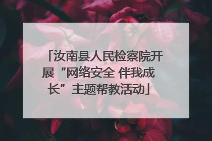 汝南县人民检察院开展“网络安全 伴我成长”主题帮教活动