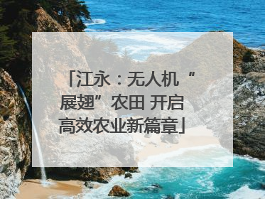 江永：无人机“展翅”农田 开启高效农业新篇章
