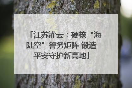 江苏灌云：硬核“海陆空”警务矩阵 锻造平安守护新高地