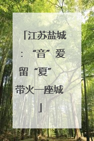 江苏盐城：“音”爱留“夏” 带火一座城