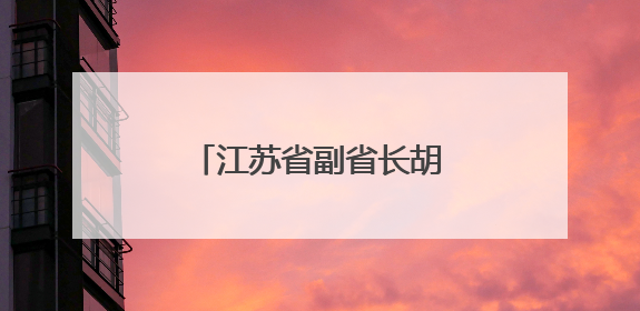 江苏省副省长胡彬郴，分工明确
