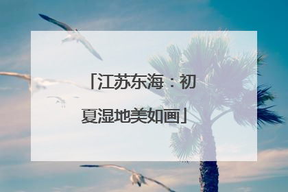 江苏东海：初夏湿地美如画