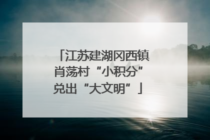 江苏建湖冈西镇肖荡村“小积分”兑出“大文明”