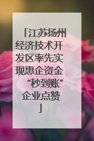 江苏扬州经济技术开发区率先实现惠企资金“秒到账” 企业点赞