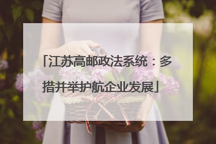 江苏高邮政法系统：多措并举护航企业发展