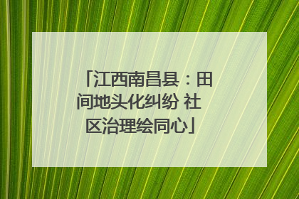 江西南昌县：田间地头化纠纷 社区治理绘同心