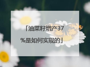 油菜籽增产37%是如何实现的