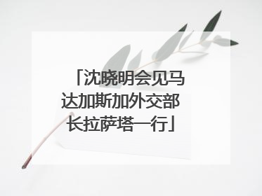 沈晓明会见马达加斯加外交部长拉萨塔一行