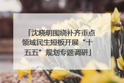沈晓明围绕补齐重点领域民生短板开展“十五五”规划专题调研