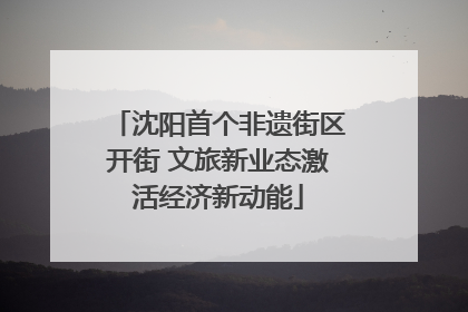 沈阳首个非遗街区开街 文旅新业态激活经济新动能