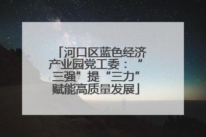 河口区蓝色经济产业园党工委：“三强”提“三力”赋能高质量发展