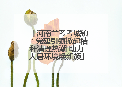 河南兰考考城镇：党建引领掀起秸秆清理热潮 助力人居环境焕新颜