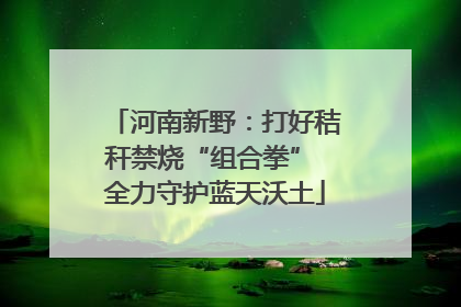 河南新野：打好秸秆禁烧“组合拳” 全力守护蓝天沃土