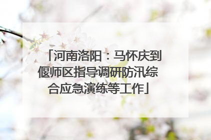 河南洛阳：马怀庆到偃师区指导调研防汛综合应急演练等工作