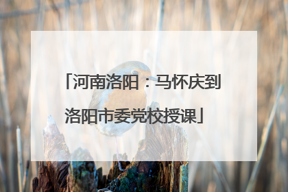 河南洛阳：马怀庆到洛阳市委党校授课