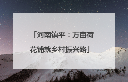 河南镇平：万亩荷花铺就乡村振兴路
