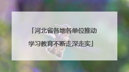 河北省各地各单位推动学习教育不断走深走实