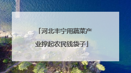 河北丰宁用蔬菜产业撑起农民钱袋子